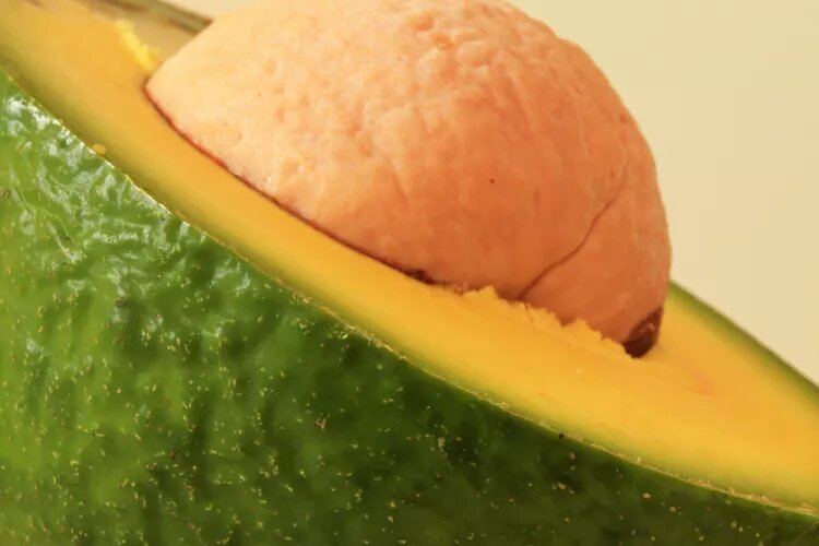    Zen Rial / Getty Images