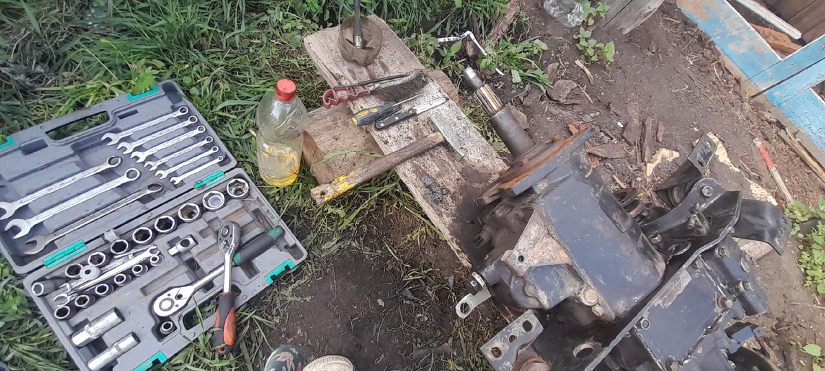 Я принеси-подай