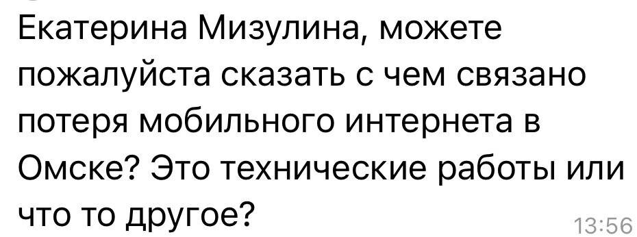    Фото: t.me/ekaterina_mizulina