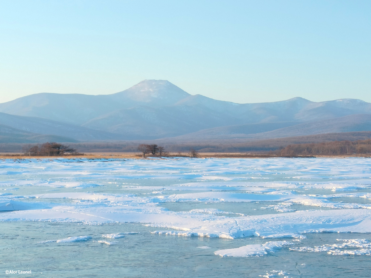 фото Алор Леонел