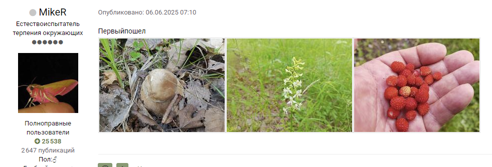 Скрин с сообщений в Форуме, ветка южного Подмосковья