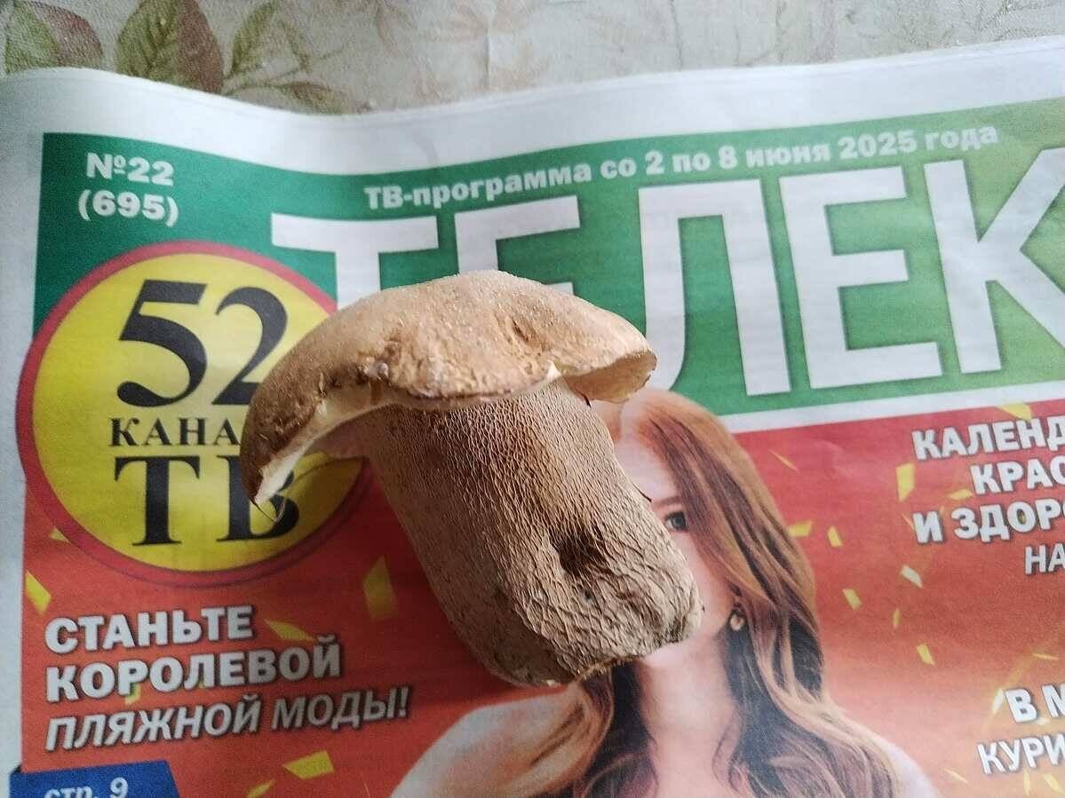 Первый белый от tak1973, юг Подмосковья 07.06.25