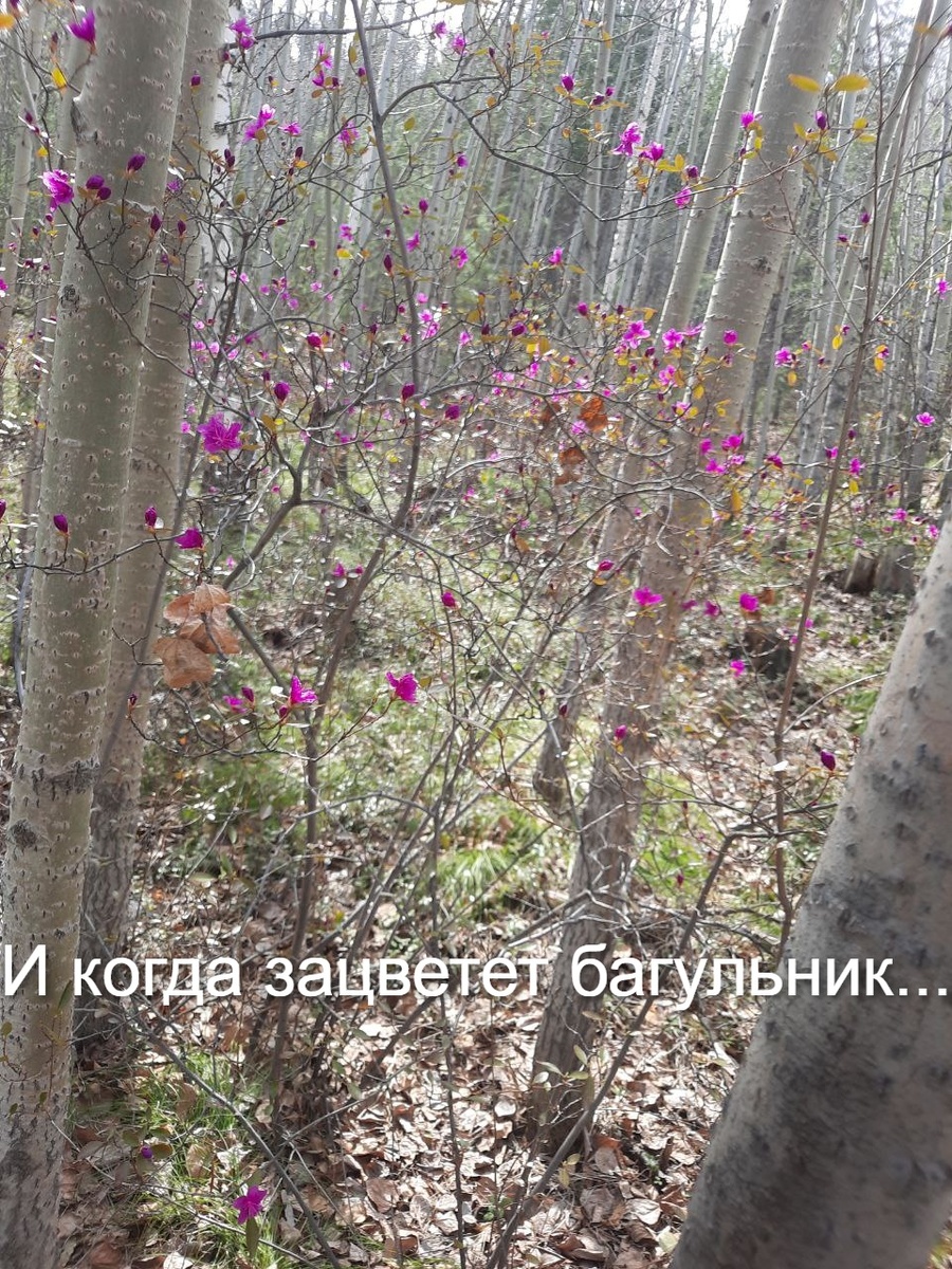 Фото автора.