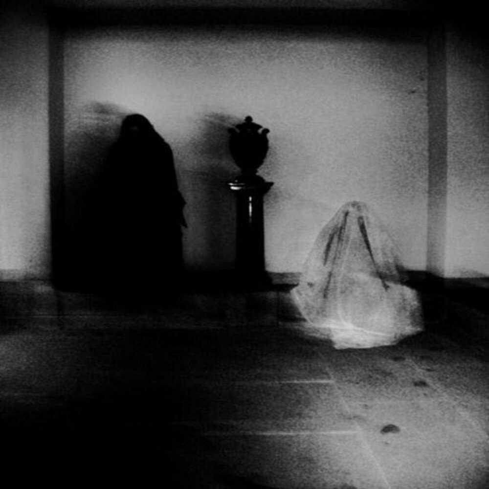 Изображение взято из открытых источников интернета. 