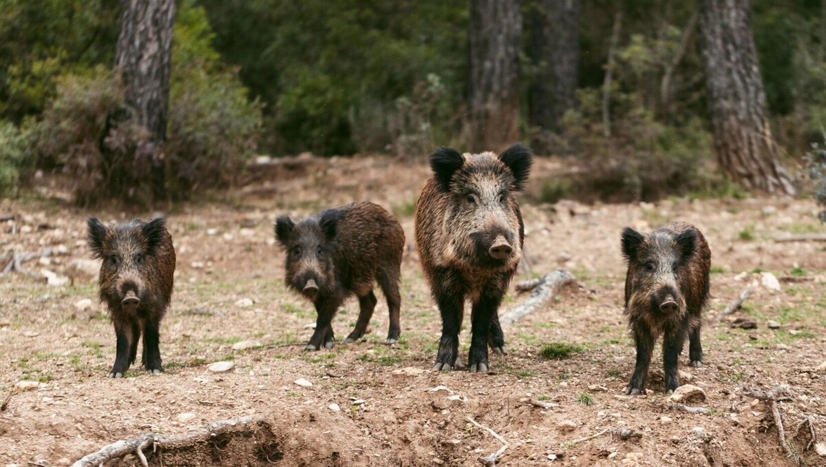     Источник: freepik.com