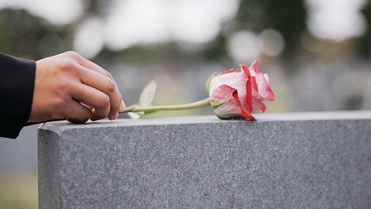    Фото: Shutterstock