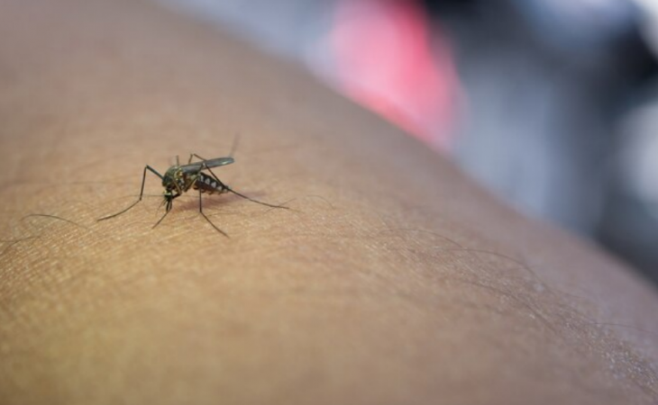 Фото:. freepik.com