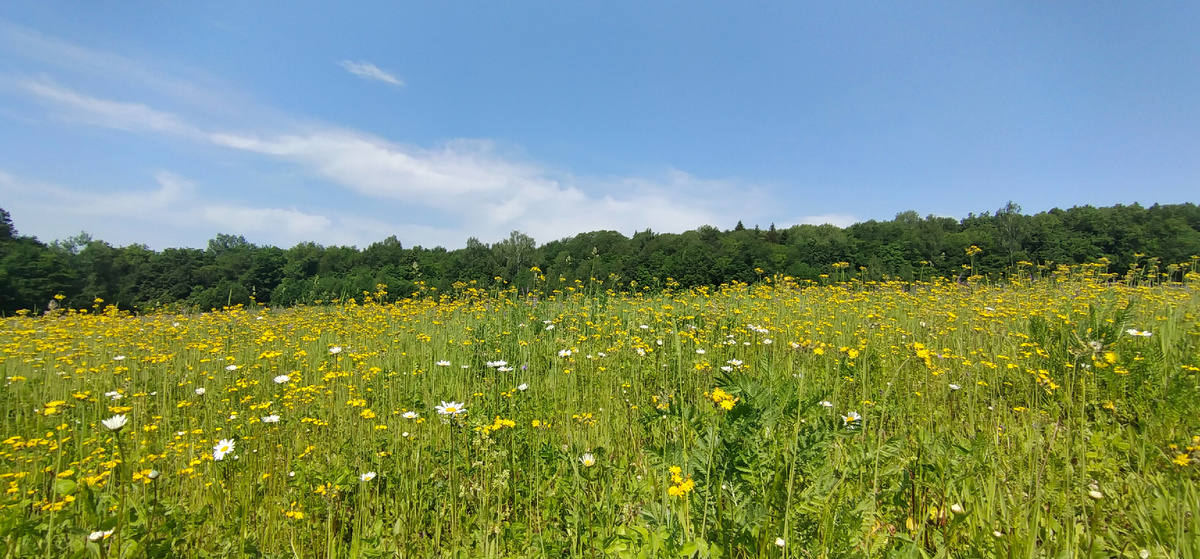 Личное фото