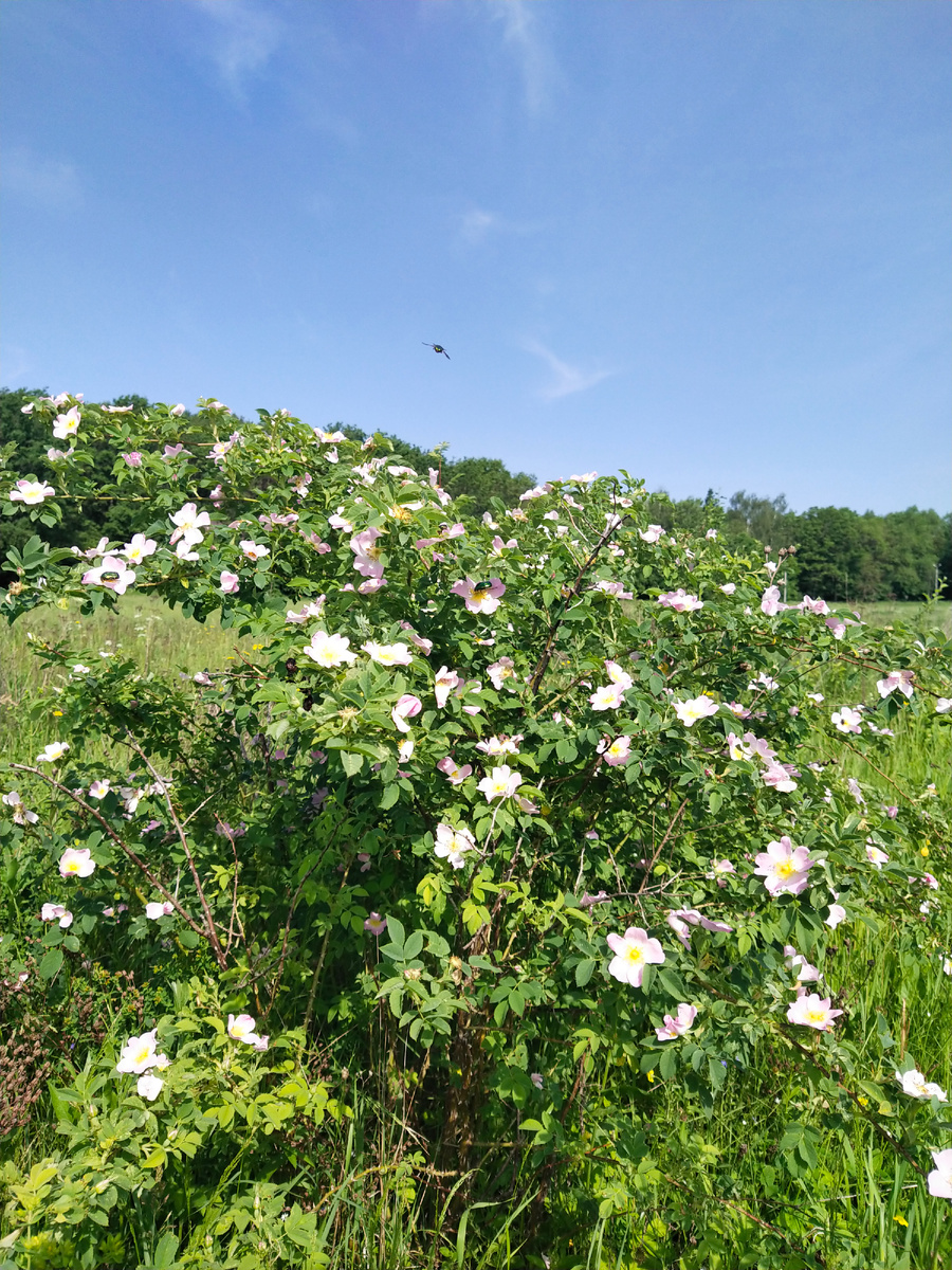 Личное фото