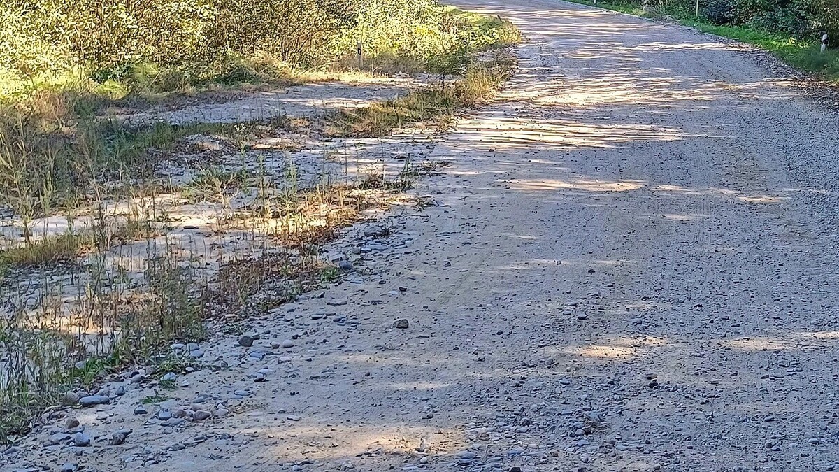     Автор: KubanPress