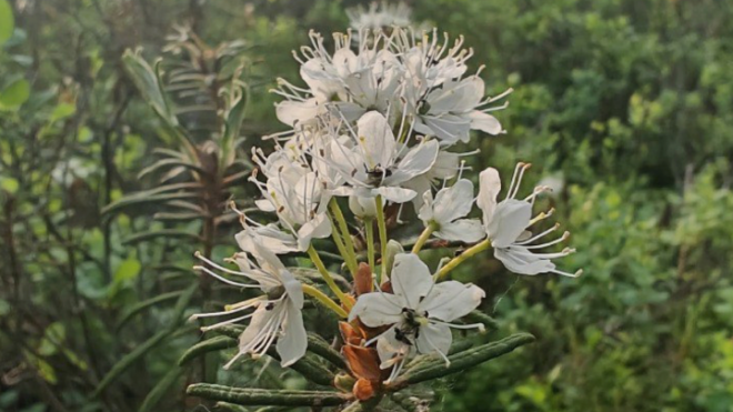 Фото: Павел Глазков