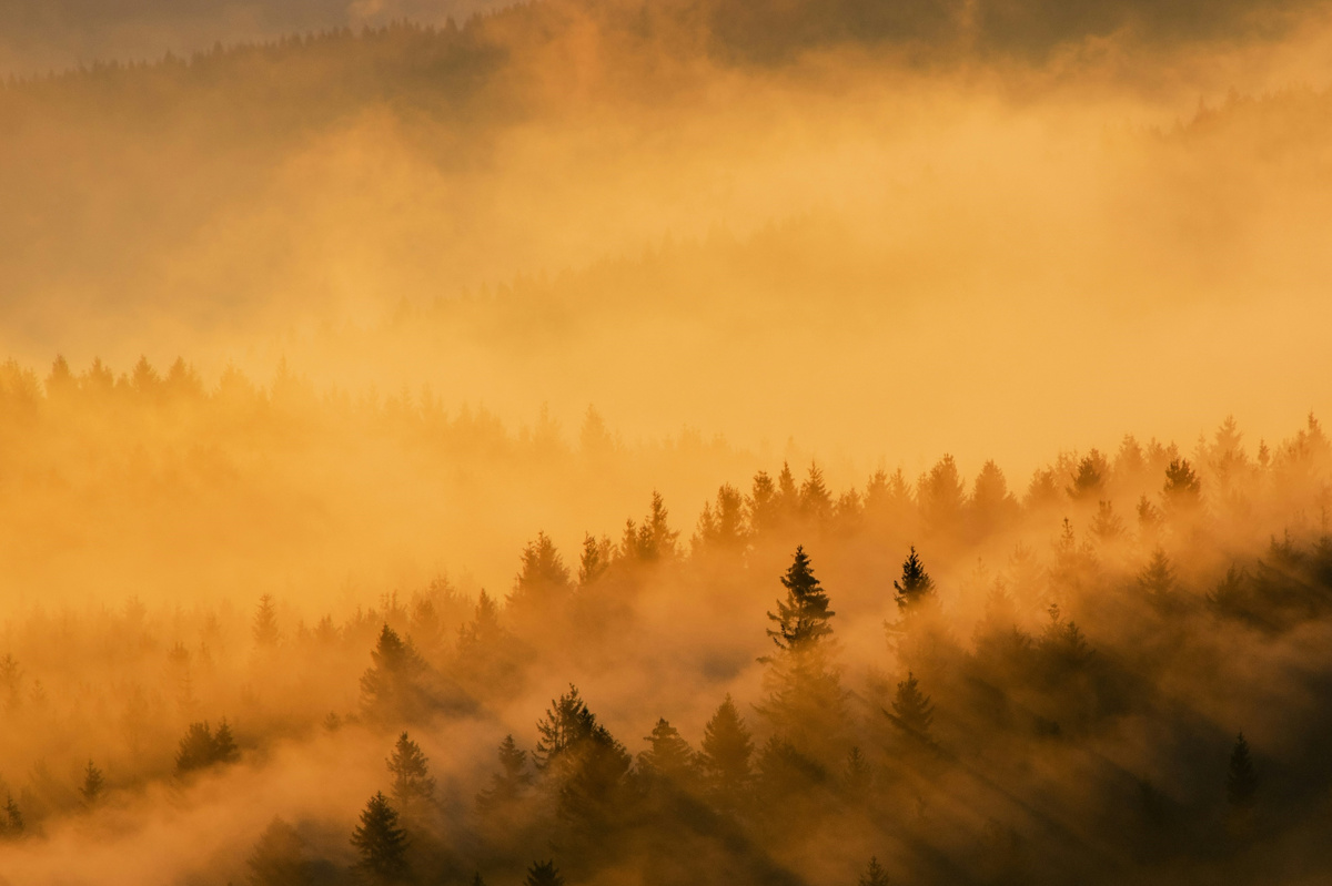 Фото: Lukáš Konvica с сайта unsplash.com