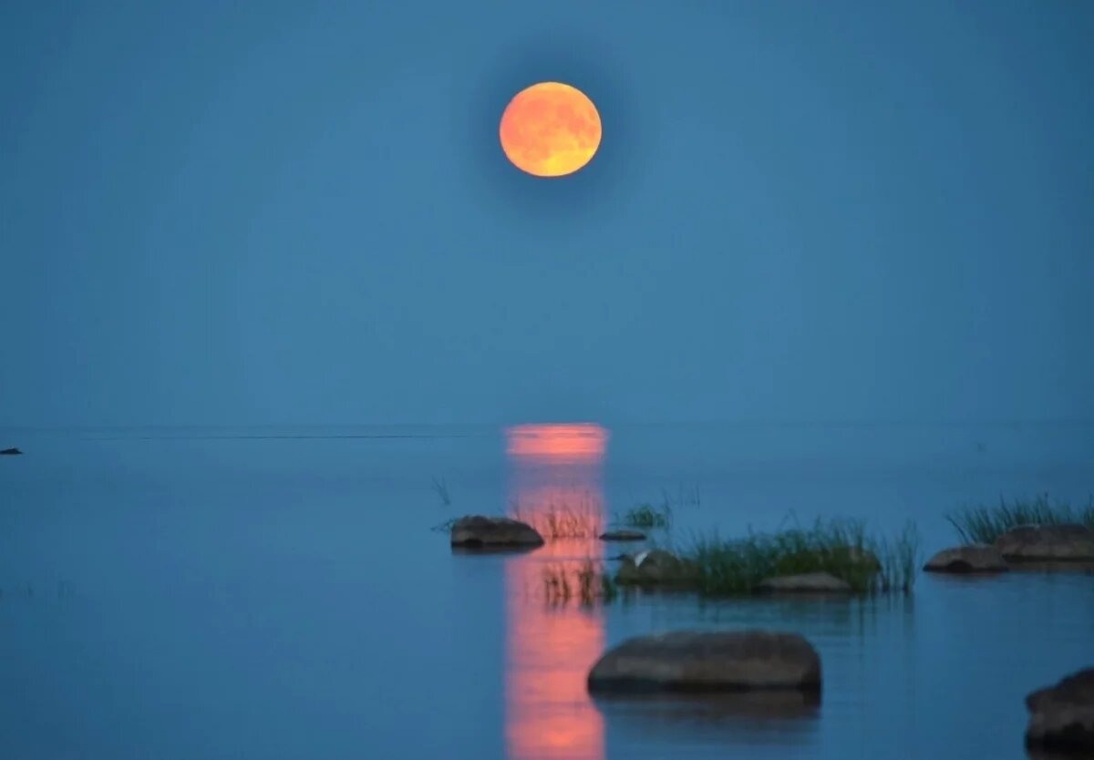    Над Новосибирском взошла редкая «клубничная Луна»