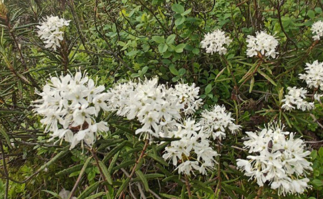    © Telegram / Каждой твари по паре