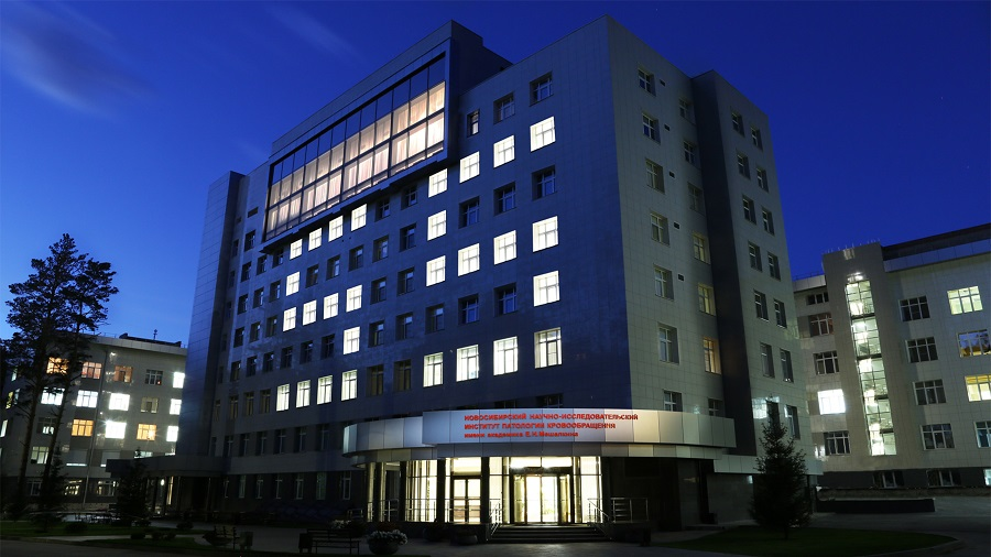 Фото: meshalkin.ru