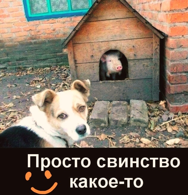 Фото из интернета в обработке автора 