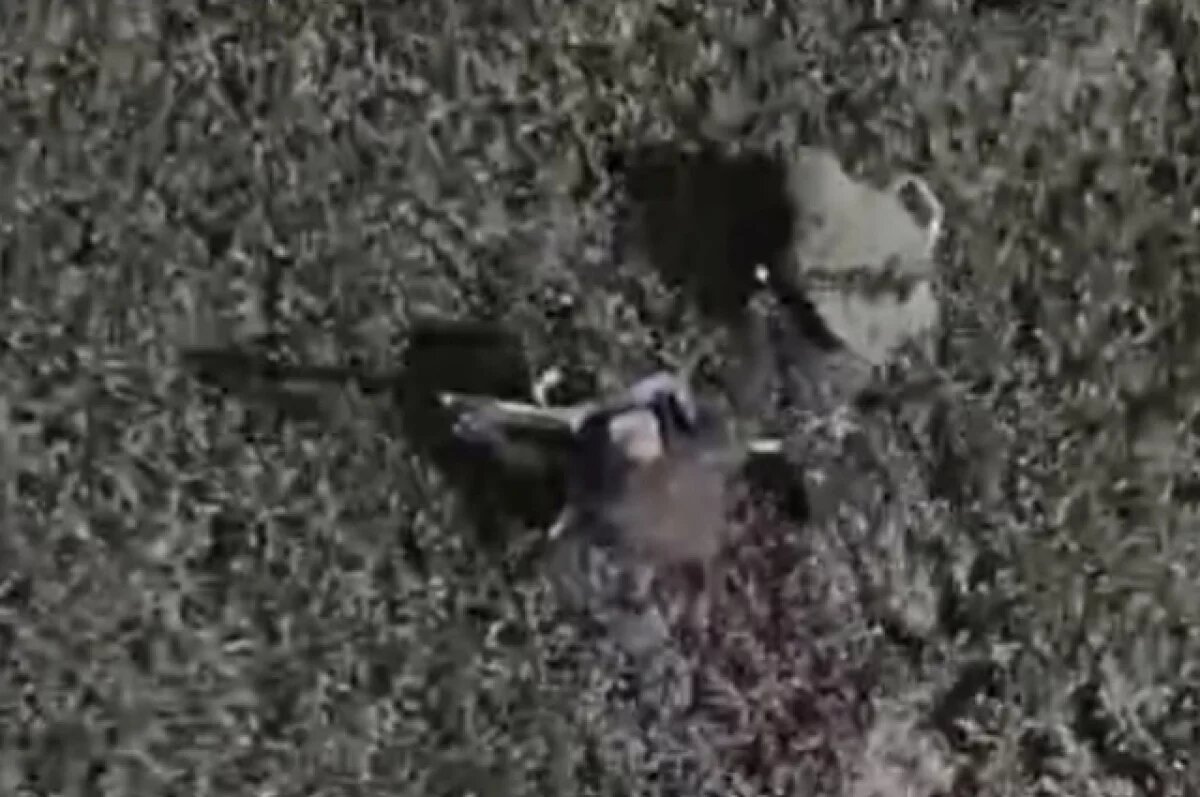    Появилось видео дерзкого захвата российскими бойцами тяжелого дрона ВСУ