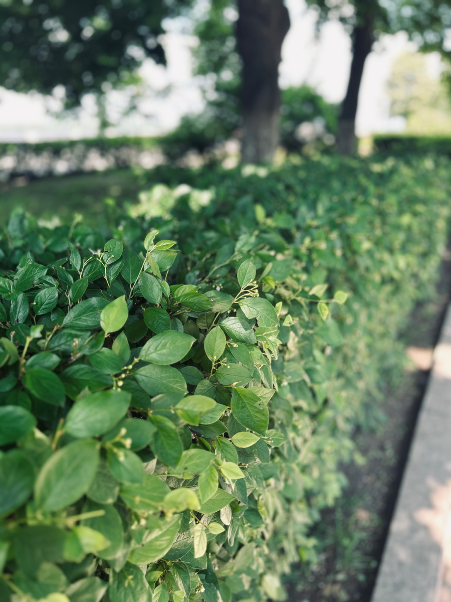 Фотография автора канала.