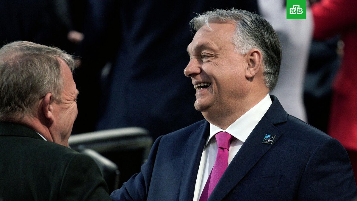    Фото: РИА Новости © 2025