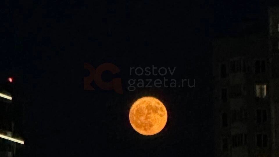     Источник: rostovgazeta.ru