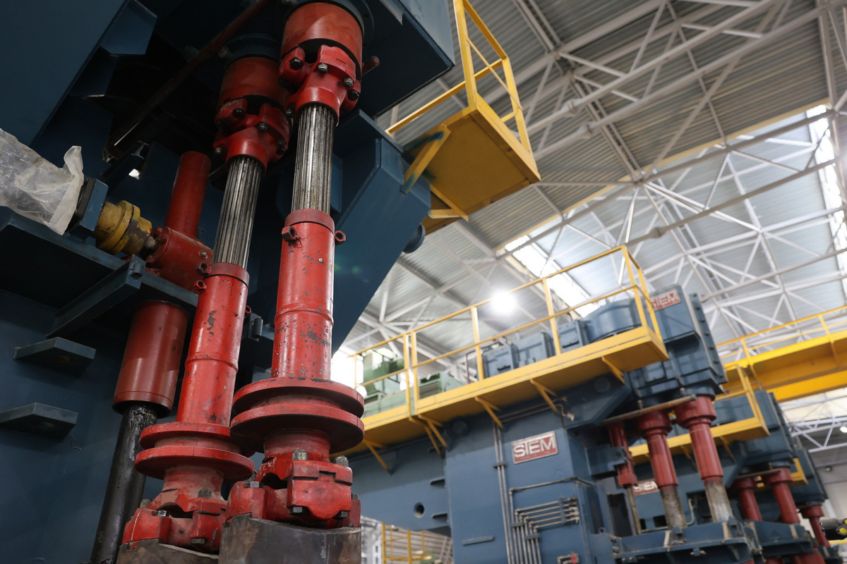 © Пресс-служба губернатора Ростовской области / donland.ru