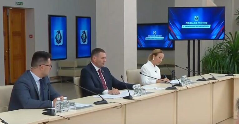 Фото: трансляция «Прямой линии» с Дмитрием Демешиным