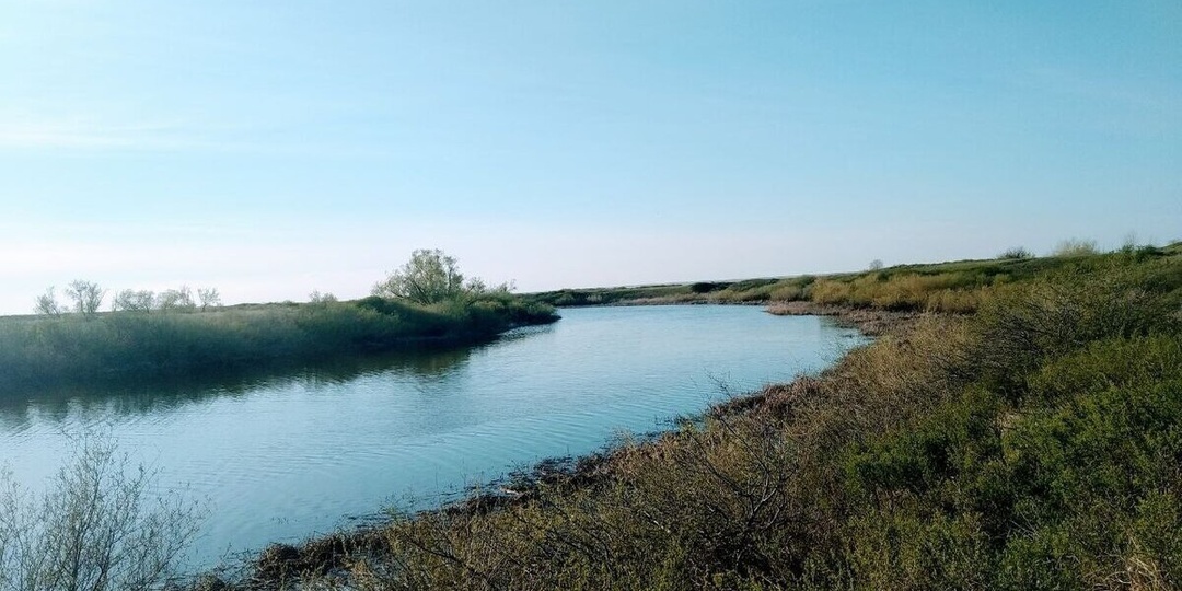 В Саратовской области сняли нерестовый запрет на рыбалку