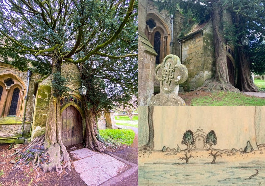 Иллюстрация взята из открытых источников.