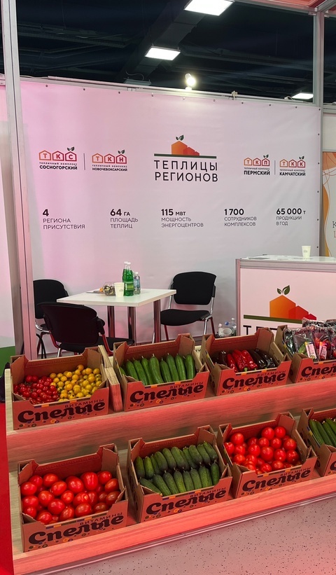 Фото: Тепличный комплекс «Камчатский»