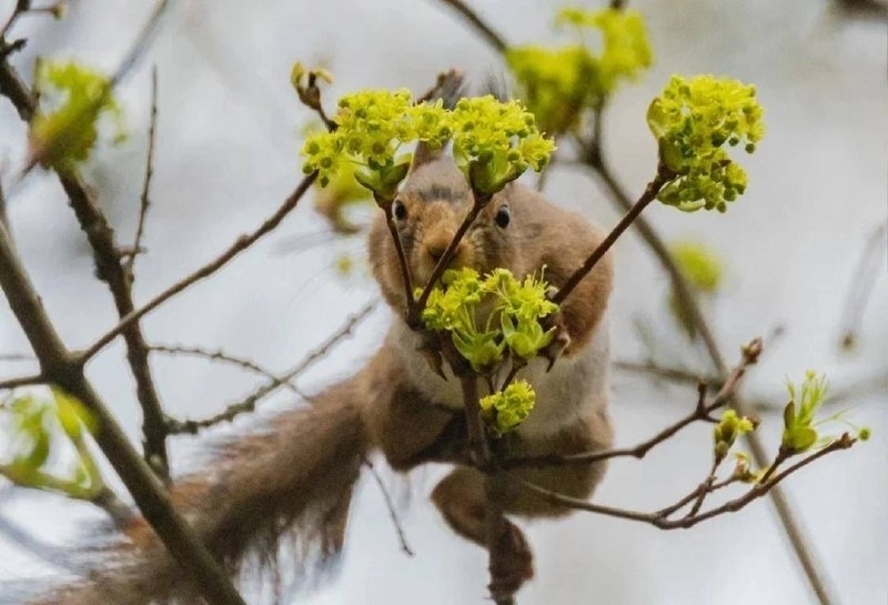    Алёна Бобрович