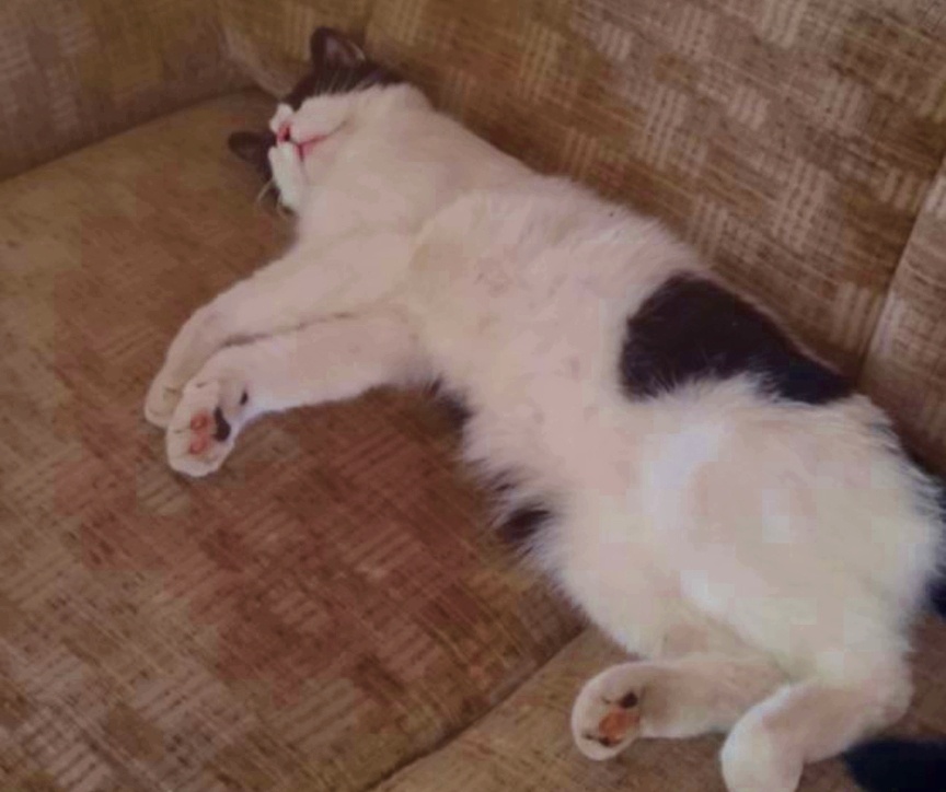 Макс умеет расслабляться)))