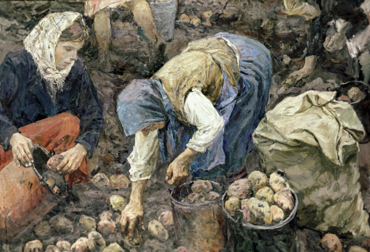 Аркадий Александрович Пластов «сбор картофеля» (1956)