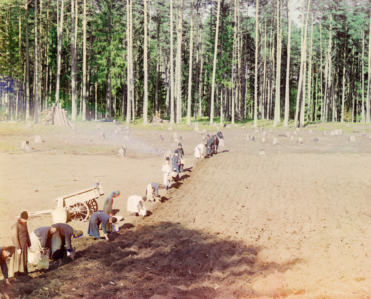 Монахи, сажающие картофель, на фотографии Прокудина-Горского, 1910 г.