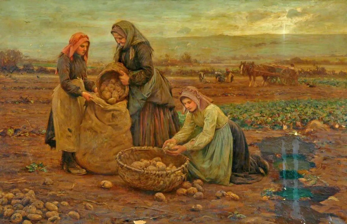 «Хозяйственное описание Пермской губернии» 1813 года свидетельствует: крестьяне выращивали крупный белый картофель и продавали его в Перми, но увеличивать посевы не торопились.