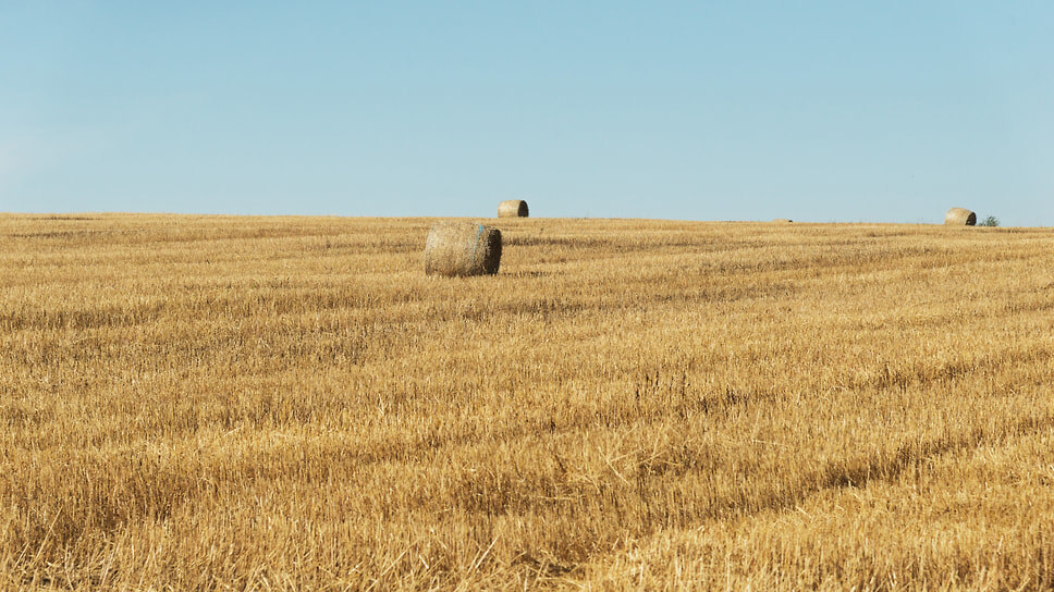 Фото: Игорь Елисеев / Коммерсантъ