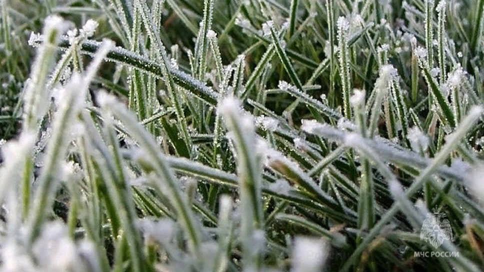 Фото: ГУ МЧС России по Краснодарскому краю