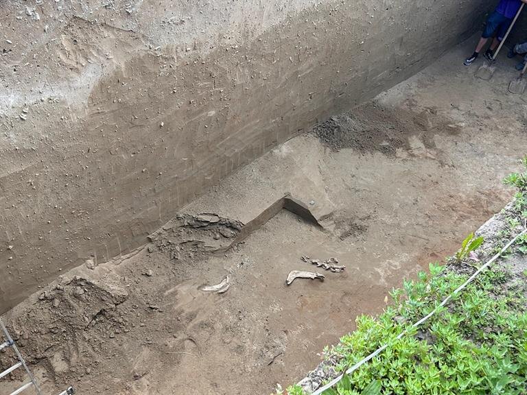    Фото: Администрация г. Красноярска