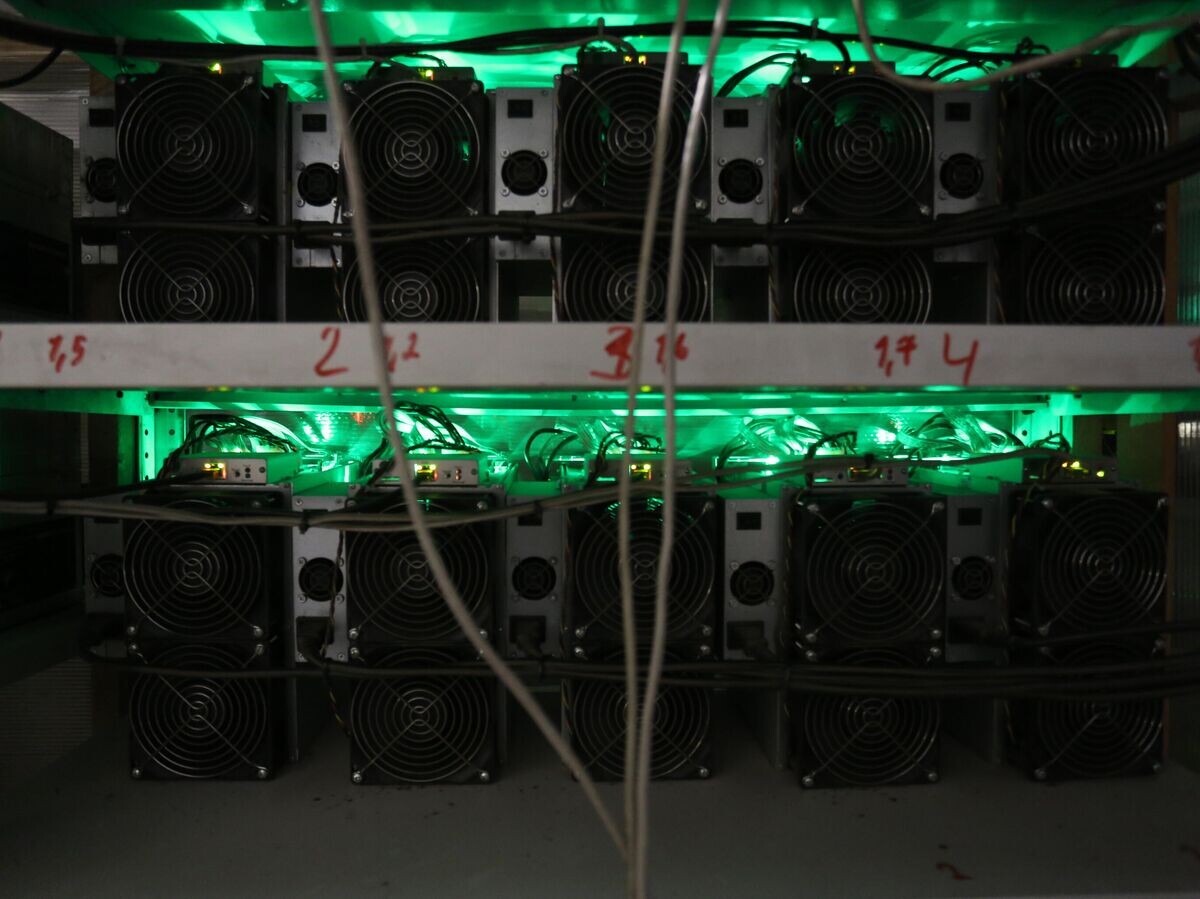    Обрудование для добычи биткоинов на ферме© Фото : Евгений Козырев