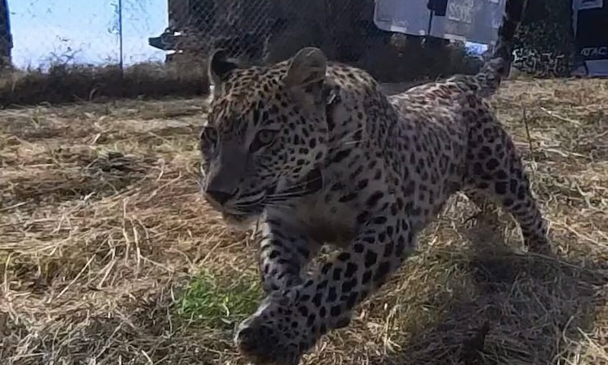    Фото t.me/minprirod15