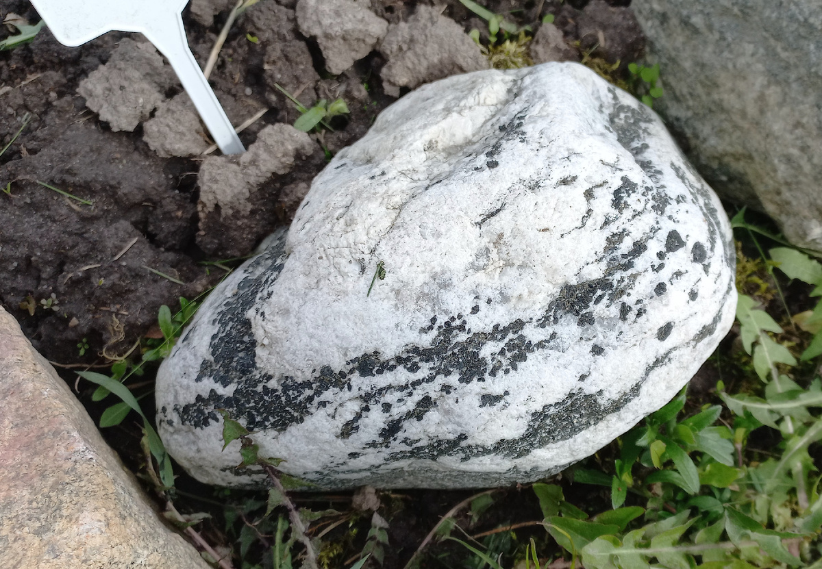 Фото автора диорид