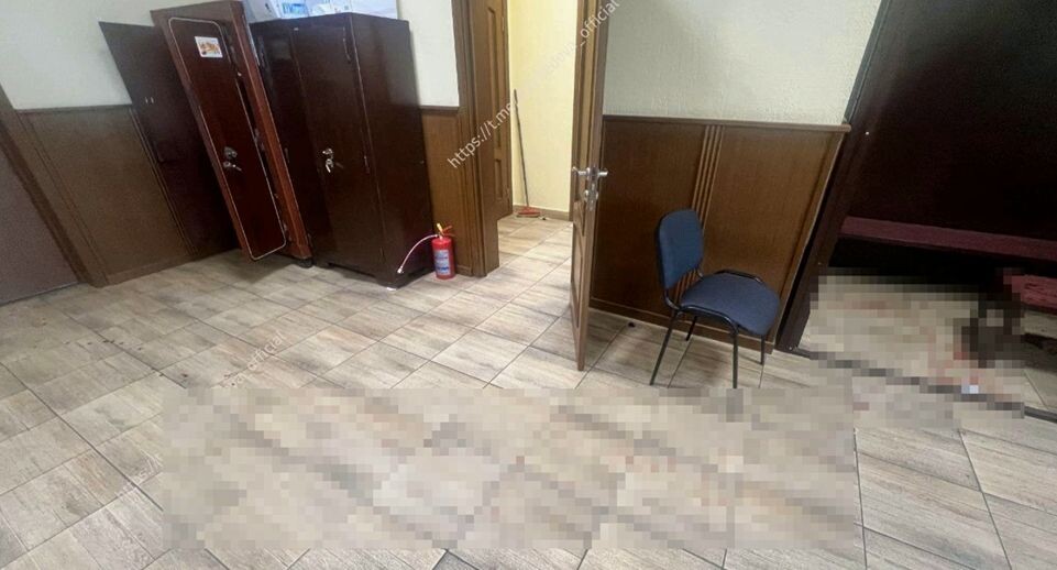    Руководитель Объединенной пресс-службы судов Санкт-Петербурга Дарья Лебедева / Telegram