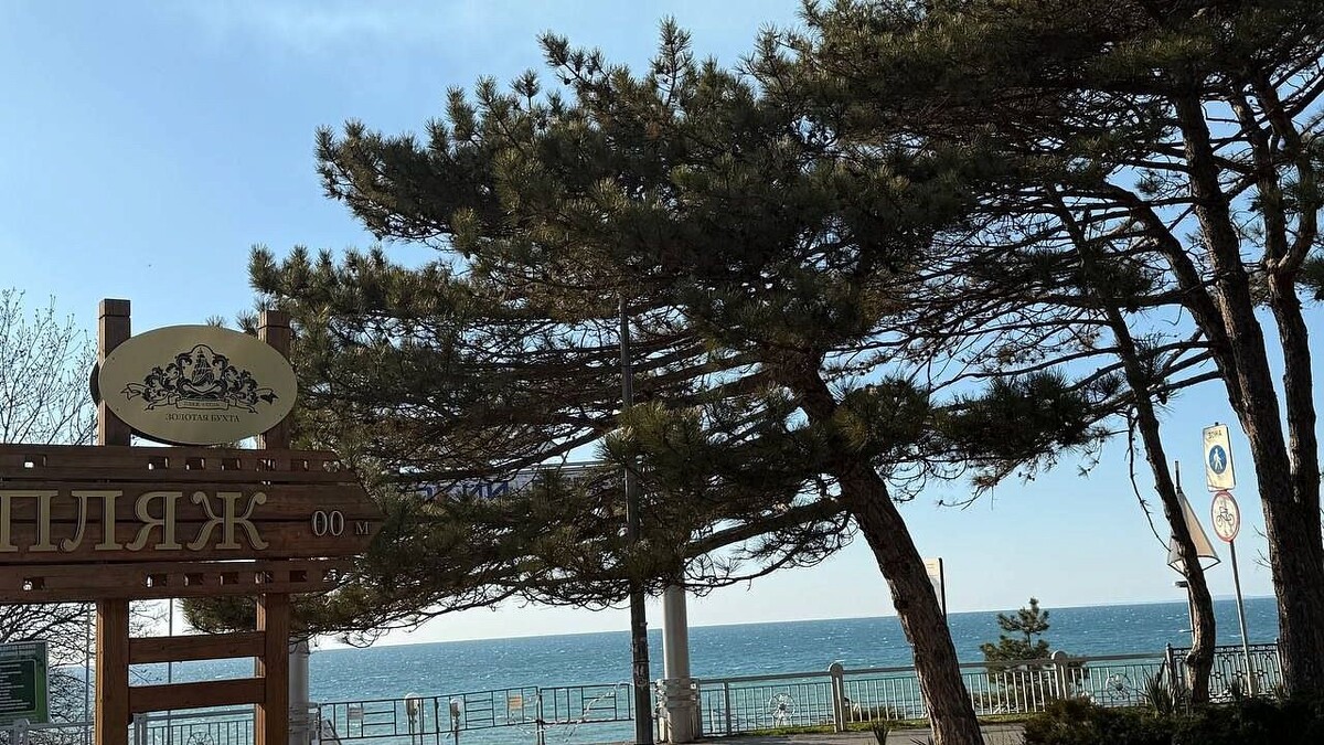    Фото: телеканал «Краснодар»