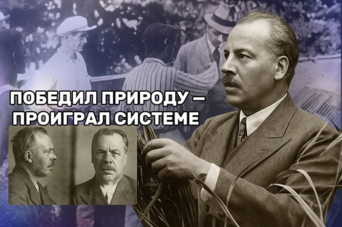 Николай Вавилов. Ученый, который мог накормить весь мир, умер от голода в тюрьме