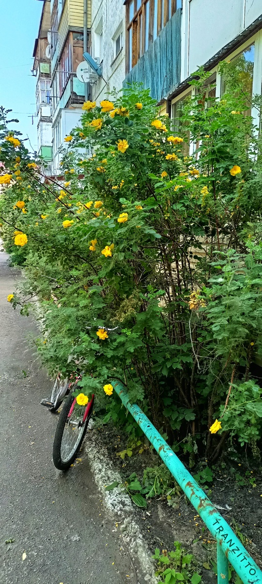 Даже зацепила кусочек неба