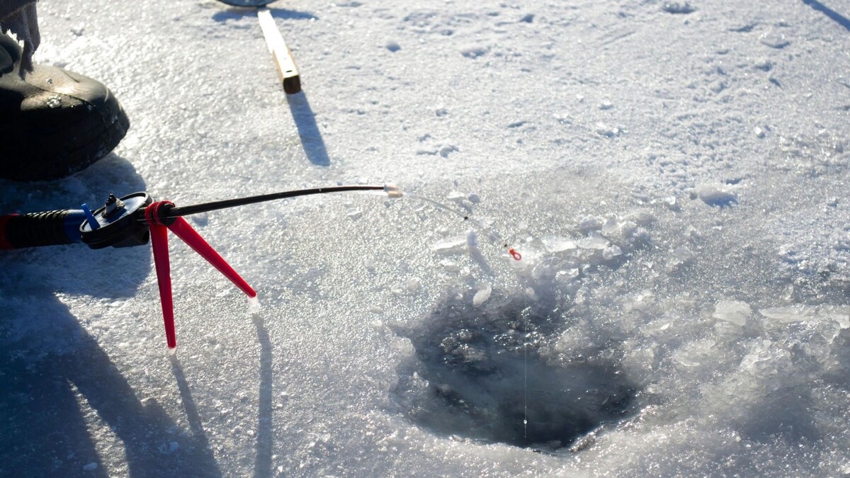    Фото: MarinaGrigorivna/Shutterstock/Fotodom