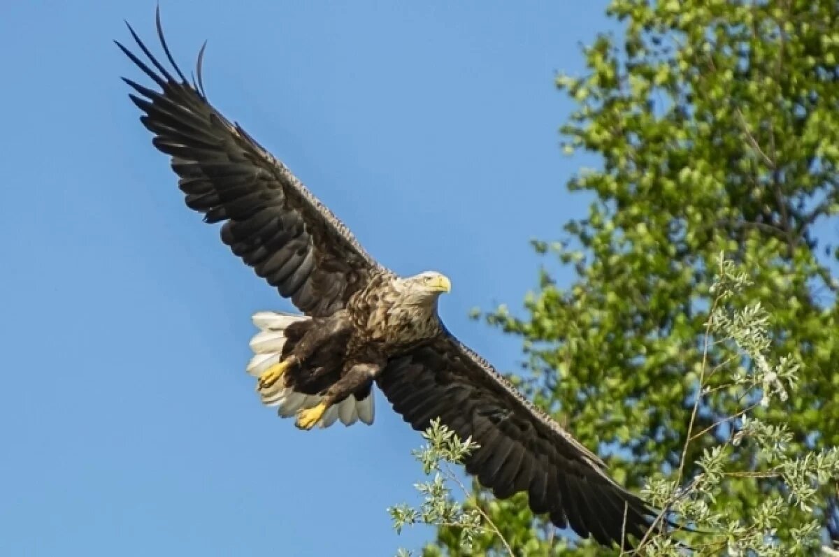    В заказник «Полуйский» отправят экспедицию для изучения природы