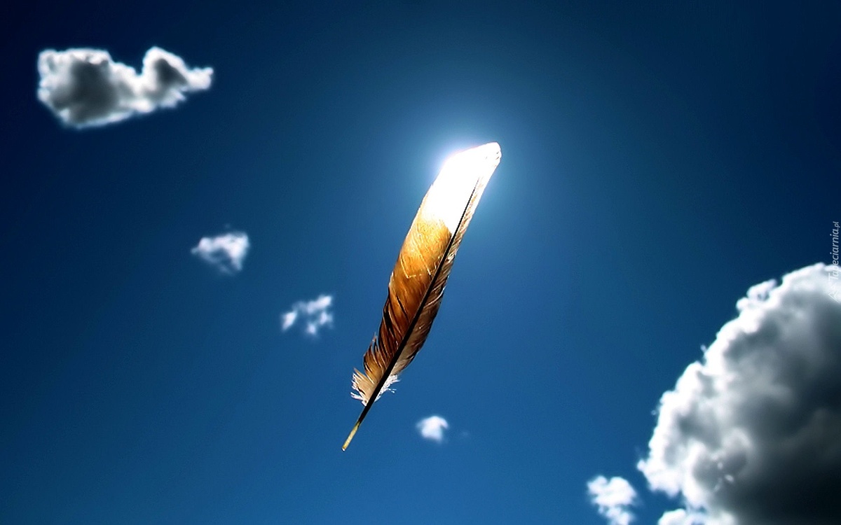 Изображение из открытых источников