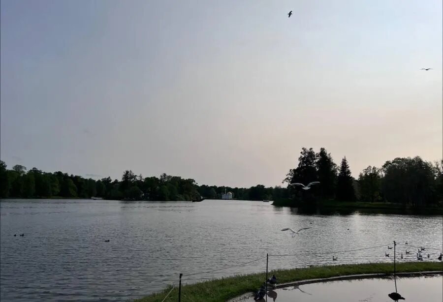 ФОТО Полины АКИМОВОЙ