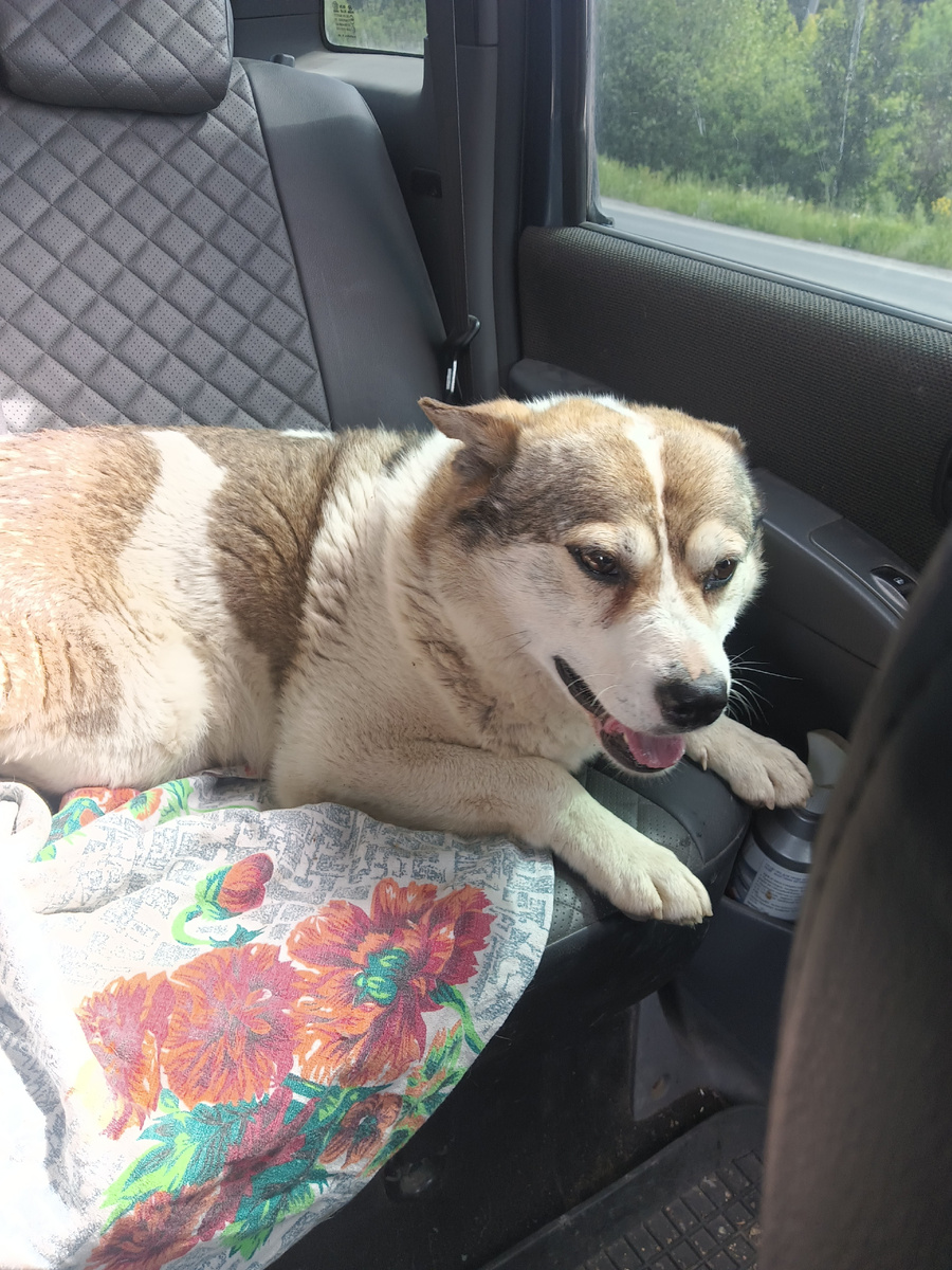 Едем в клинику