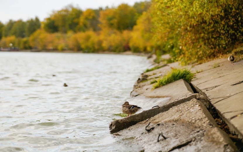    Опрос IZHLIFE: большинство ижевчан не планируют открывать купальный сезон в местных водоемах